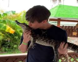 He is a brave person and don't afraid to hold dangerous animals He is a brave person and don't afraid to hold dangerous animals.